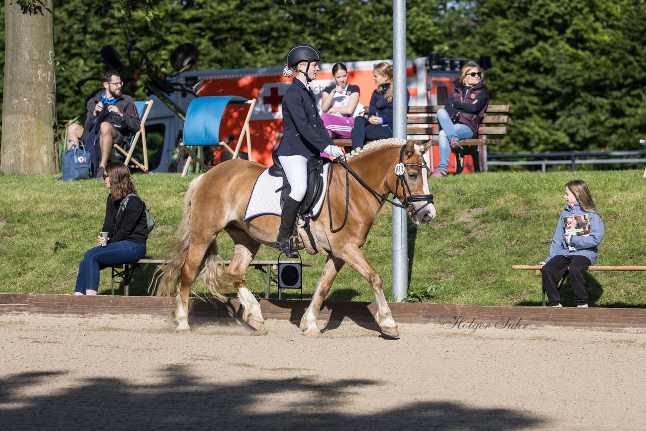 Bild 6 - Pony Akademie Turnier